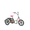 Tricycle Sporty
